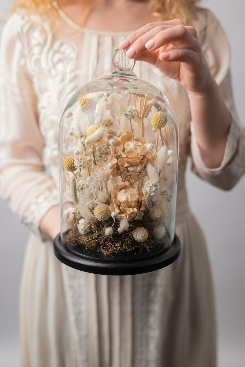 Glass cloche dried flower arrangement with strawflowers and cotton on a wooden table